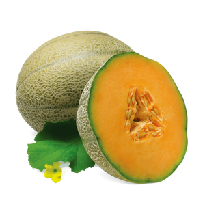 Sabores Fumari Premium Hookah para una experiencia Shisha inolvidable - Product Image 1