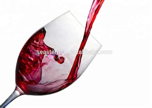 600ml Acrylique SANS BPA Tritan Incassable Verre À Vin - Product Image 2