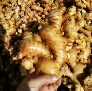 El Mejor Precio de jengibre fresco/jengibre fresco - Product Image 1