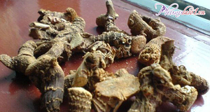 เวียดนามนัม FRESH_DRIED ข่า _ ข่าสด - Product Image 4