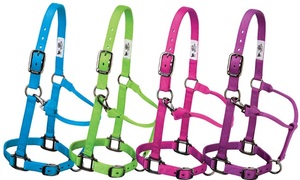 Harnais en nylon pour cheval, réglable, durable, avec boucle en métal pour cheval, poney et cob - Product Image 4