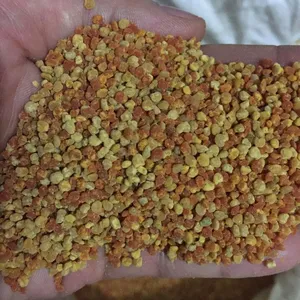 Grosir BEE POLLEN Harga Kompetitif/WHATSAPP + 84 845 639 639