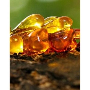 Balsam Tolu น้ำมันหอมระเหยที่มีการออกแบบที่กำหนดเองหรูหรากล่องของขวัญเครื่องสำอางบรรจุภัณฑ์น้ำมันหอมระเหยในกล่องกระดาษแข็ง - Product Image 2