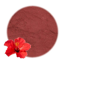 Pure Hibiscus Rosa Sinensis ผงจากอินเดีย - Product Image 2
