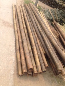 Matériaux bruts de poteaux en bambou 100% naturel du Delta du Vietnam, tailles 60-150cm. Contactez-nous au +84-845-639-639 - Product Image 2