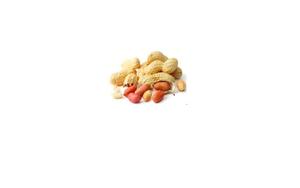 BIG MARKET VIET NAM RAW <strong>PEANUT</strong>/ FRIED <strong>PEANUT</strong> WHOLE SALE 2021 - Product Image 6