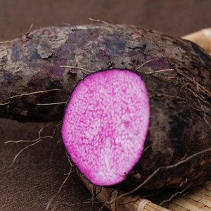Batata morada congelada IQF premium de Vietnam |   Batata Morada Naturalmente Dulce |   Proveedor de Exportación a Granel - Product Image 1