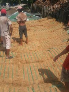 Machine à fibres de noix de coco naturelle/fibres de coco de noix de coco - Product Image 6