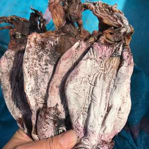 Squid noir séché à bas prix du Vietnam - Product Image 4