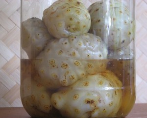 -Polvo de Morinda citrifolia seca, producto de Vietnam, Morinda, citrifolia, Morinda - Product Image 4