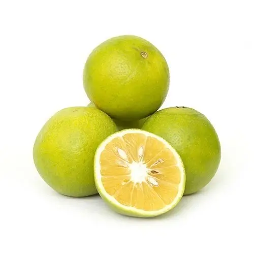 Produzione di fornitori all'ingrosso prezzo all'ingrosso olio essenziale di limone