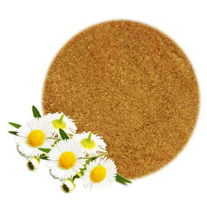 ผงดอกเบญจมาศเดซี่แห้งในวันหยุดเวียดนาม - Product Image 6