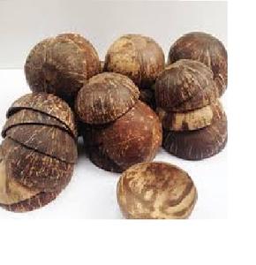 Coquille de noix de coco 100% naturelle/coquille de noix de coco nid d'oiseau - Product Image 3