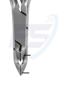 Pinza de cutícula 1/2, doble muelle, acero inoxidable - Product Image 2