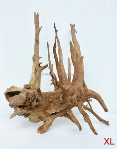 ซากไม้ขายส่ง - Product Image 3