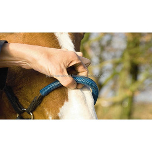 Brida Clásica de Cuero para Caballo, Brida Beniers de Cuero para Caballo, Brida Beniers de Cuero para Caballo de Temporada - Product Image 4