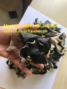 HONGOS NEGROS SECOS - Product Image 4