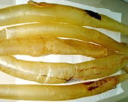 ปลาปังกัสเวียดนาม ขาย - Product Image 3