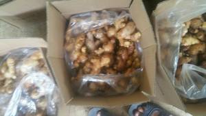 PRECIO AL POR MAYOR JENGIBRE FRESCO ORGÁNICO ESTÁNDAR DE EXPORTACIÓN DE VIETNAM - Product Image 2