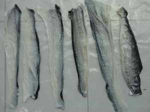 ปริมาณปลาดุกจำนวนมากสำหรับผู้นำเข้า - Product Image 6