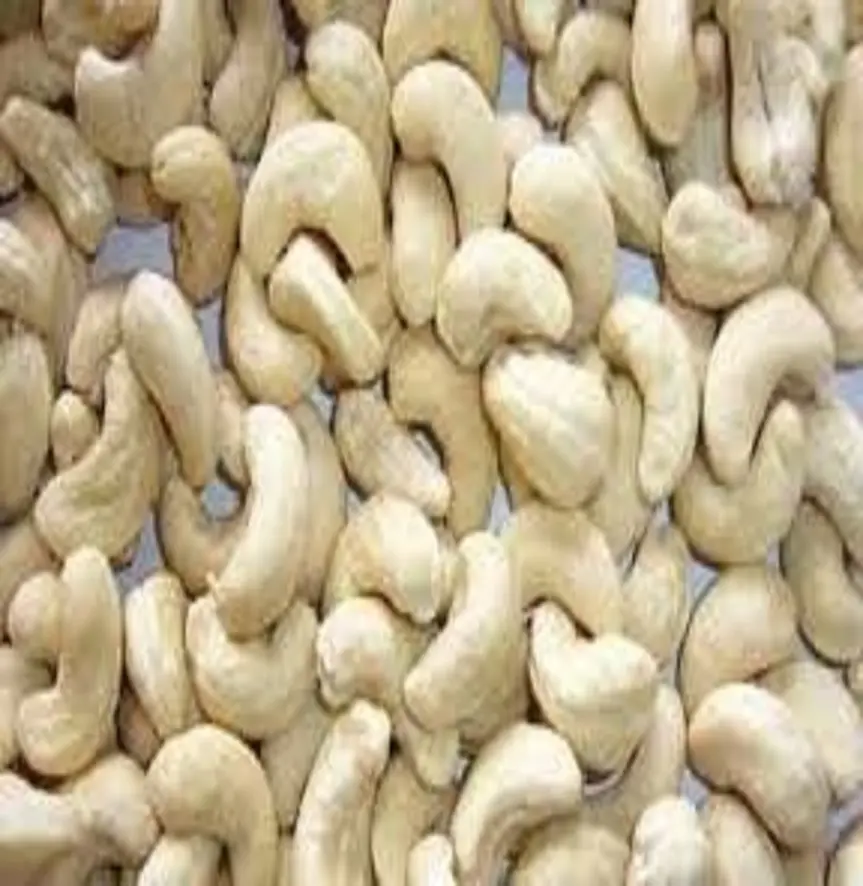 Quality Raw Cashew Nuts w240