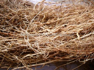 Kha-vetiver-vetiveria Zizanoides Làm Giảm Căng Thẳng Cũng Như Chấn Thương Cảm Xúc Và Điều Trị Sốc Chấy - Product Image 5