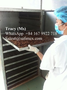 เชื้อราดำแห้ง - Product Image 5