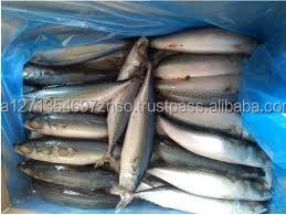 Envasado al Vacío Orgánico Grado a Filete de Pescado de Salmón del Atlántico Congelado Entero con Cabeza de Salmón - Product Image 5