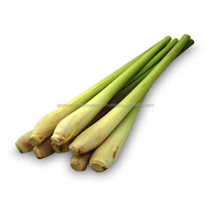 Suppliers of Lemongrass <b>Hydrosols</b> From AROMAAZ INTERNATIONAL in All Over the World with Fast Shipping Service - Product Image 5