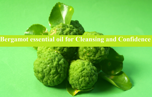 AARNAV GLOBAL EXPORTS Aceite Esencial Puro de Bergamota Prensado en Frío de Cáscara de Fruta Italiana a Precios de Mayoreo - Product Image 5