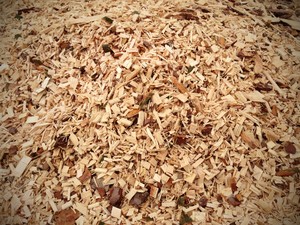 Utilisation du rasage du bois pour la literie des chevaux/100% bois naturel pin blanc rasage 2020 - Product Image 3