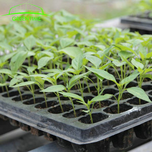 <span class=keywords><strong>Plateau</strong></span> commercial de prise de cellule de graine de 50 cellules utilisé pour la pépinière de tomate de serre - Product Image 5