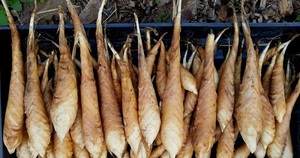 Fécule de manioc de qualité export au meilleur prix du Vietnam - Product Image 2