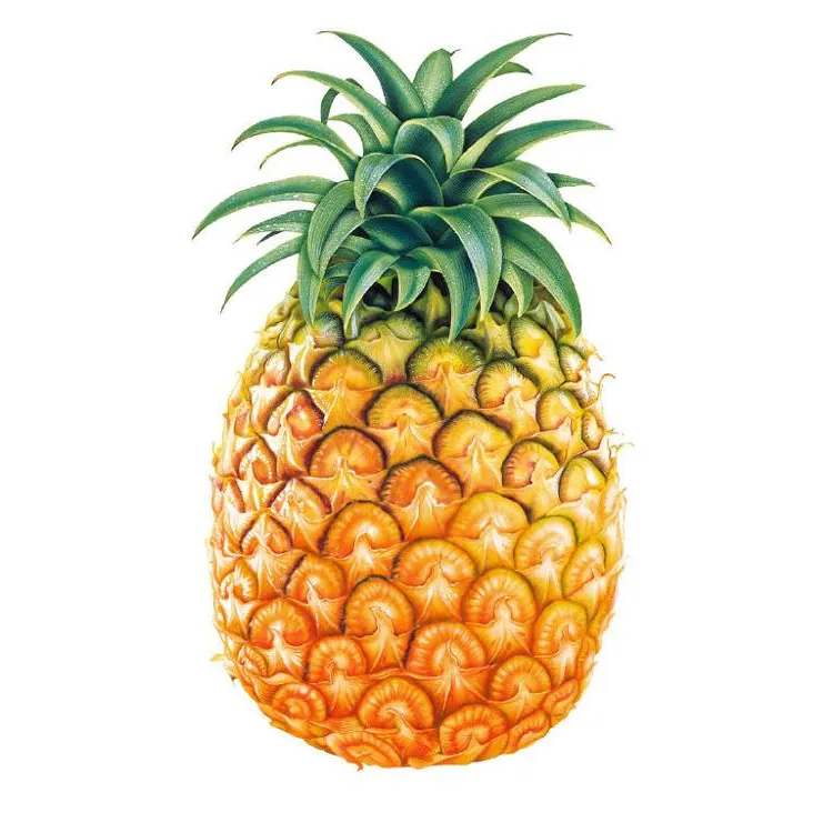 Top Quality Fresh Sweet Pineapples 2021/ Whatsapp +84 845 639 639