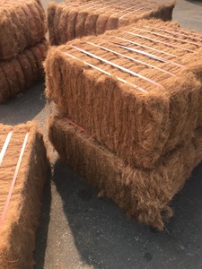 Pièce de monnaie américaine, fibre de coco vietnamien pour les ventes de 2019 - Product Image 3
