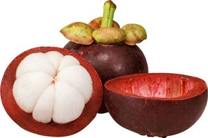 Mangostán Fresco Premium de Vietnam – Fruta Tropical Dulce |   Proveedor Mayorista de Exportación // Sr. Tom - Product Image 5