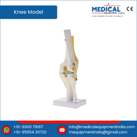 Offre Spéciale Vie-taille Artificielle Genou Anatomique Modèle Commun Personnalisé PVC Genou HUMAIN Modèle Acheter De Fabricant Indien