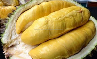 Verse Durian Fruit-Vietnamese Verse Durian Speciale Fruit/Smakelijke/Unieke Smaak