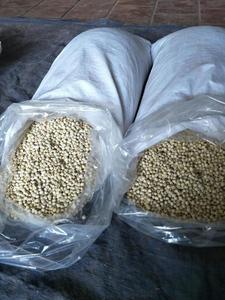 Fower อุดมไปด้วยคุณค่าทางโภชนาการ - Product Image 6