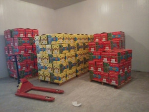 2018 New Crop RED DRAGON FRUIT/PITAYA (Serena) Estilo fresco - Product Image 5