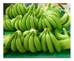 PICE fresh green CAVENDISH BANANA pas cher - Product Image 5
