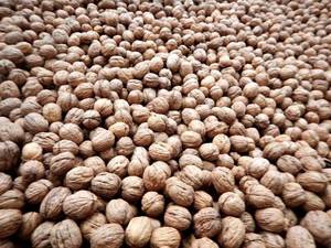 Organic <b>Walnuts</b> in <b>Shell</b> and Kernel Raw Dried High Quality Grade a - Product Image 4