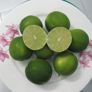 มะนาวสดที่ดีที่สุดในเวียดนาม - Product Image 2