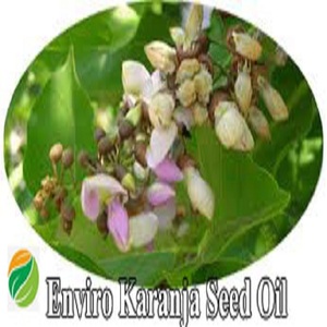 น้ำมัน Karanja 1L ที่บรรจุในขวด HDPE แบบละลายน้ำได้ฉลากตามต้องการน้ำมัน Karanja ที่มีปริมาณ karanjin สูง - Product Image 6