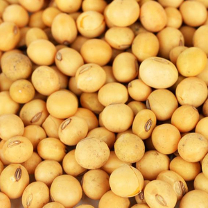 High Quality Food Grade AD Dried Non-GMO <b>Soybeans</b> Yellow Soya Beans 25kg in Bulk or Bag Packaging - Product Image 6