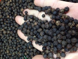 Sản Phẩm Hạt Tiêu Cá Sấu Hạt Tiêu Gia Vị Bột Hạt Tiêu Đen Ớt Và Hạt Tiêu Duy Nhất Các Loại Thảo Mộc & Gia Vị Từ Việt Nam - Product Image 3