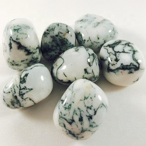 Piedras Preciosas de Ágata Dendrítica Natural Pulida - Product Image 2