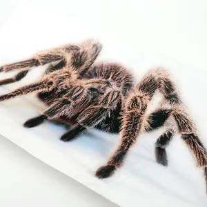ETIE hot-selling design creativo divertenti adesivi per auto adesivi per porte spider lucertola scorpione animale adesivo auto