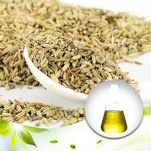 Fennel Essential Oil 100% Pure Organic MSDS Certified Skin Revitalizer Candle Soap Perfume Cosmetic Skincare Lotion Shampoo - Product Image 2