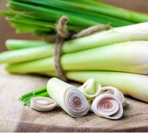 ตะไคร้สด/แช่แข็ง ราคาดีที่สุด คุณภาพสูง - Product Image 4